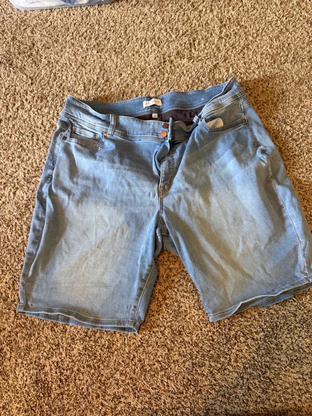 Lane Bryant Light Blue Denim Jean Shorts